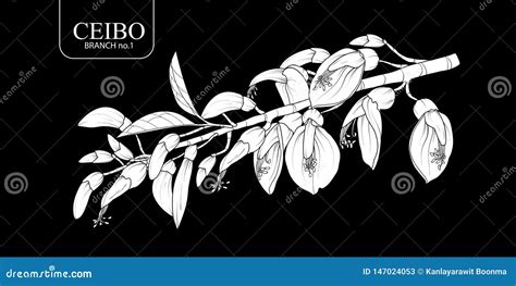 Sebo Stock Illustrations – 11 Sebo Stock Illustrations, Vectors .